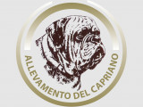 Del Capriano