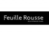 Feuille Rousse
