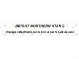 Bright northern star's