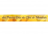 Des Princes Gris du Clos de Mondésir