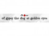 Of gypsy the dog at golden eyes