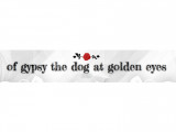 Of gypsy the dog at golden eyes