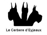 Du Cerbère D'Eyjeaux