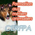 Cerfpa Formations