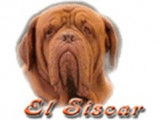 El Siscar