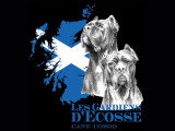 Des gardiens d'Ecosse