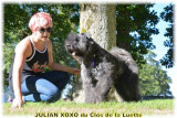 CANINE CLUB BOUVIERS DES FLANDRES AND CO