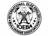International Olde English Bulldogge Association (IOBEA)