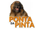 Ponta da Pinta