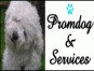 Promdog & Services