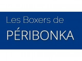 Boxers de Peribonka
