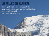 La Vallée des Glaciers