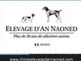 Elevage d'An Naoned