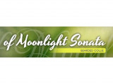 Of moonlight sonata