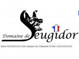Du Domaine de Seugidor
