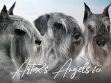 Artax's Angels
