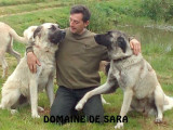Du Domaine de Sara