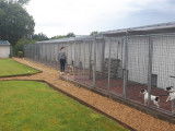 Espace Canin