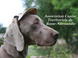 Association Canine Territoriale de Basse-Normandie