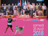 Association Canine Territoriale Languedoc-Roussillon