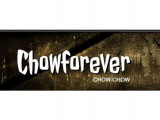 chowforever