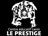 Centre éducatif canin Le Prestige