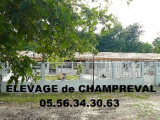 Chenil de Champreval