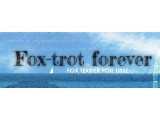 Fox-trot forever