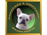 Sheppard & Sheppard