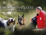 Education Canine Salbrisienne