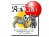 Atoll Câlin - Comme à la Maison