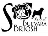 S Bul'vara Briosh