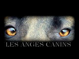 Les Anges Canins