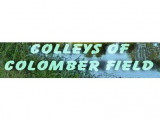 of colomber field