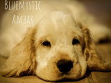 Bluemystic
