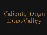 Dogo valley / Valiente Dogo