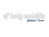Of  Lady  Ophélie