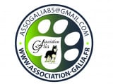 Association Galia