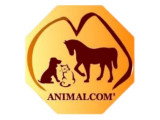 Animalcom'