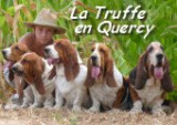 La truffe en Quercy