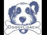 Doggycoach