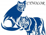 Cynolor