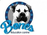 Bones Education