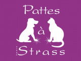 Pattes à Strass