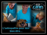 E.C.O. Canin Educatrice-Comportementaliste-Ostéopathe