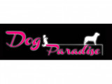 Dogs Paradise (toilettage canin /dog sitting)