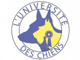 Université des Chiens