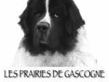 Des Prairies de Gascogne