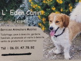 L' Eden Canin