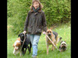 Chiens Zen